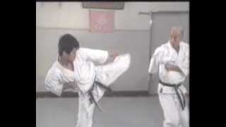 Wado ryu kihon kumite 6 [upl. by Callida]