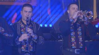 Valentin Uzun amp Tharmis amp Simrat  Cintec despre Bucovina Live [upl. by Nunnery862]