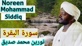 سورة البقرة نورين محمد صديق Surah Al Baqarah Sheikh Noreen muhammad siddique [upl. by Sidonius]