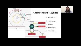 Surgical Oncology  Neoadjuvant and Adjuvant Chemotherapy in Breast Cancer [upl. by Wynny182]