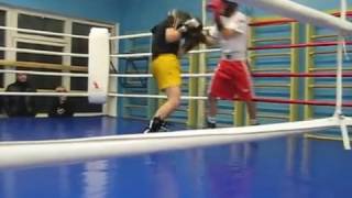 BERINCHYK vs LOMACHENKO SPARING WITH ONE HAND [upl. by Clarey]