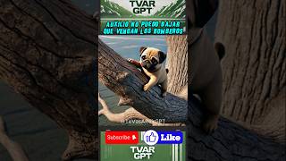 Perrito atrapado en un árbol🌳 shortsviral mismascotas babyanimal paramascotas mascotas babypet [upl. by Knowles]