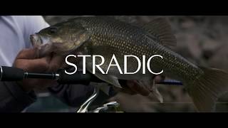 NEW Stradic FL [upl. by Enytnoel]