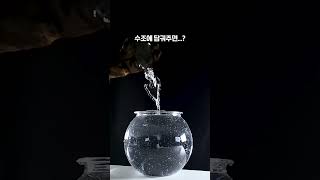 절대 채울 수 없는 물병 [upl. by Anir]