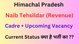 Himachal  Naib Tehsildar Vacancy Update  August 2024  Lets Study [upl. by Dunning]