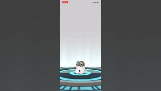 Spewpa Evolution from Scatterbug dodgemon pokemongo spewpa scatterbug pokemon [upl. by Fosque]