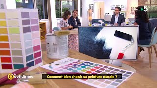 Comment bien choisir sa peinture murale [upl. by Oinigih]