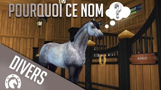 LE NOM DE MES CHEVAUX  Star Stable  SSO [upl. by Ative508]