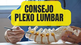 CONSEJO DEL PLEXO LUMBAR [upl. by Atnaloj]