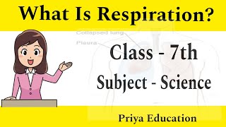 Class 7 Science Chapter 10  Respiration in Organisms [upl. by Ordnazil]