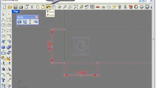 Rhino transform tools scale 2davi [upl. by Gnuy]