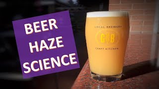 Hazy Beer SCIENCE  What makes NEIPA so Hazy [upl. by Drislane720]