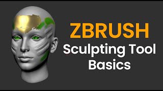 Sculpting Tool Options ZBrush Basics  Standard Brush [upl. by Orling230]