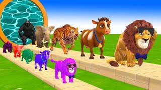 Paint amp Animals CowElephantLionTigerGorilla Fountain Crossing Transformation Cartoon [upl. by Anrehs]