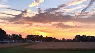 Geese 🪿 flying over farm  dawn amp sunrise 🌅 real time amp sounds 18 September 2024 [upl. by Eigla]