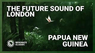 The Future Sound Of London  Papua New Guinea Original Mix [upl. by Edette]