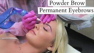 TATTOOED EYEBROWS quotPowder Browquot Experience Before amp After  ARTFUL BEAUTY [upl. by Chandos638]