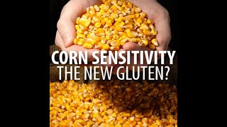 Gluten Sensitvity And Corn Video Dr Hagmeyer [upl. by Proffitt]