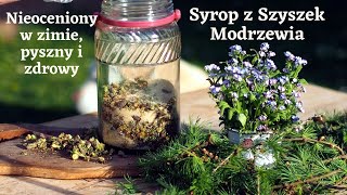 Syrop z Szyszek Modrzewiazdrowie [upl. by Donelson]