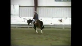 Flash Nu Cash  AQHA Reining Stallion  AT STUD [upl. by Oicirtap]