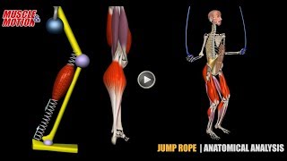 Jump Rope  Anatomical Analysis  Active Muscles [upl. by Marthe416]