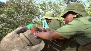 Simon Reeve travels to South Africa with Ray Dearlove [upl. by Alac505]