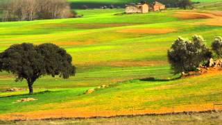 Quando Fores Ao Alentejo [upl. by Atnima]