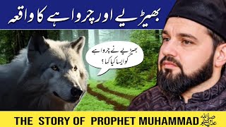 Bhediya Aur Bakriyon Ke Charvahe ka Waqia  Peer Zaheer Ahmad Qadri  story of Prophet Muhammad SAW [upl. by Roxanna]