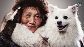 ESPOSA Compartida Pago en PIELES Vida con PERROS de Equipo Extrañas Tradiciones Inuit [upl. by Trebornhoj]