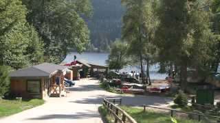 Naturcampingplatz Weiherhof am Titisee [upl. by Tsiuqram]