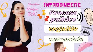 Psihologie Virtuala Introducere in procesele psihice senzoriale [upl. by Aicia]