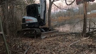 Bobcat E50 Compact Excavator with Fecon FMX36 Forestry Mulcher [upl. by Aihsei]