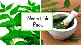 Neem Hair Pack  Neem Hair Mask  DIY  Dandruff Treatment  Philocaly [upl. by Swift]