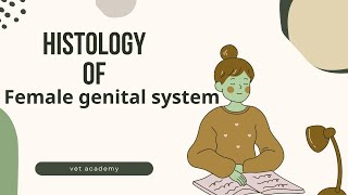 Histology of Female Genital System [upl. by Shawna]