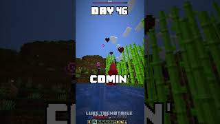 100 Days  Minecraft Shorts  Day 46 and 47 minecraft 100days [upl. by Anyak]