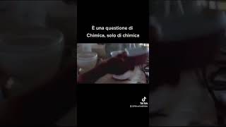 È una questione di Chimica  Ditonellapiaga e Rettore feat Breaking Bad  Sanremo 2022 [upl. by Jeunesse]