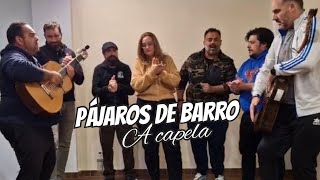 Pájaros de Barro a Capela vocesalalbagrupo cover manologarcía [upl. by Lenora]