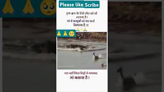 Hiran ne apne bacche Ke Khatir Apni Jaan Gavai animals 🥺🥺🙏 cut from video YouTube short [upl. by Philender]