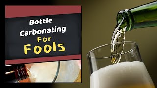 How to Bottle Carbonate Homebrew for Fools Beer Wine Cider amp Mead [upl. by Hermon]