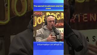 The Sacred Mushroom And The Cross  Joe Rogan Ralph Barbosa jre [upl. by Mears]