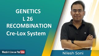 Recombination  Cross Over  Cre Lox System Nilesh Soni [upl. by Moht282]