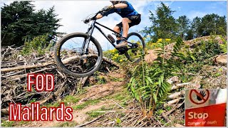 LOOK BEFORE YOU LEAP Forest of Dean MTB Mallards with crash [upl. by Block]