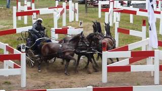 UTZ Sascha GER CAI 3 H4 Riesenbeck International 2017 Marathon 24 06 2017 Ob 6 [upl. by Seavir]