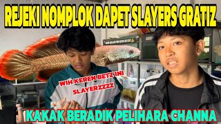 WOW‼️BOCIL KERUMAH DAPET LIMBATA SLAYER GRATIS⁉️ [upl. by Ahsinrat]