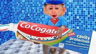 Baby Monkey KiKi brush teeth wash face and eat eggs Coco Monkey [upl. by Maggio603]