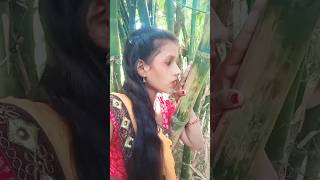 Ruk re trainiya trendingshorts shortvideo Ashish Yadav [upl. by Darooge]