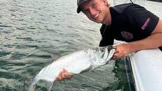 ONE AFTER ANOTHER TARPON and SNAPPER Florida Keys FishingCatch and Clean [upl. by Teews]