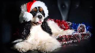 Jingle bells Dogs and Cats sing Christmas songs  Dogs and Cats and Christmas  Christmas 2015 hd [upl. by Curtis]