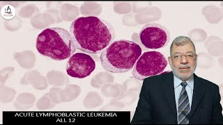 Acute Lymphoblastic Leukemia 12 ALL [upl. by Eilujna815]