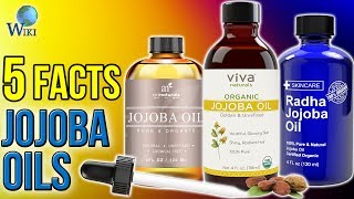 Jojoba Oils 5 Fast Facts [upl. by Sedgewinn946]